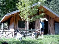 Unsere Angerer Alm